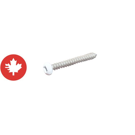 Vis, acier inoxydable, #8 x 2", blanc, 500/pqt