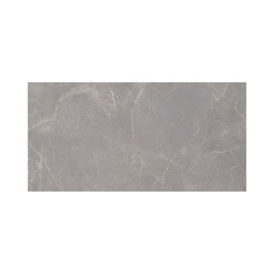 Tuile de porcelaine, plancher, Mood, gris foncé, 12" x 24"