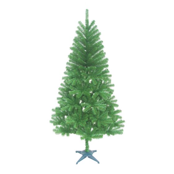 Sapin de Noël, canadien, standard, 6'