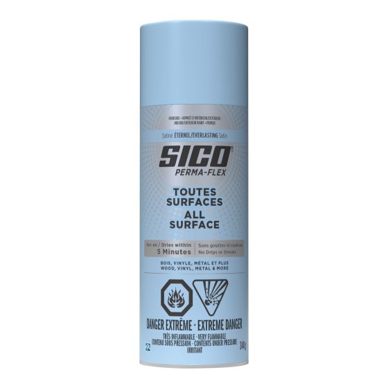 Spray Paint – 340 g – Satin Everlasting Finish