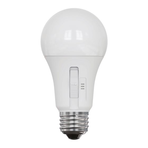 Ampoules DEL A19, 3CCT, 12 W, 1 100 lumens, intensité variable, 2/pqt