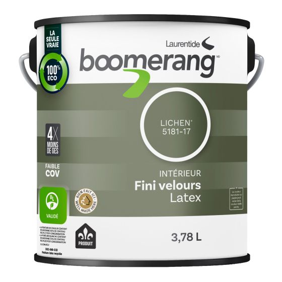 Interior Paint - Velvet Finish - 3.78 L - Lichen