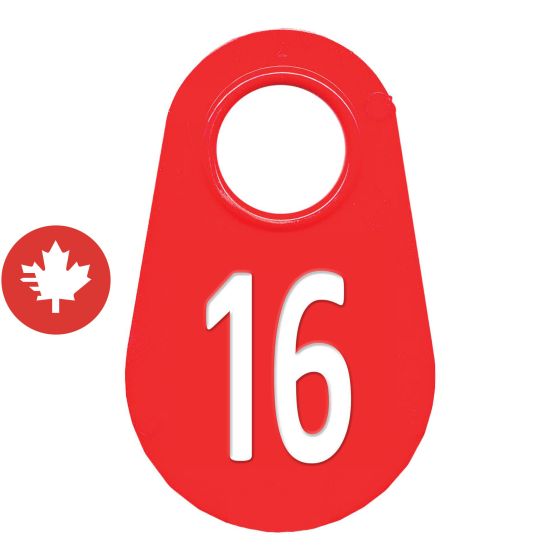 Neck tag #16