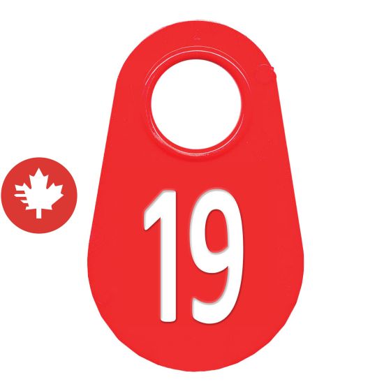 Neck tag #19
