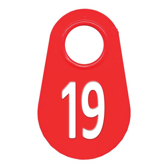 Neck tag #19