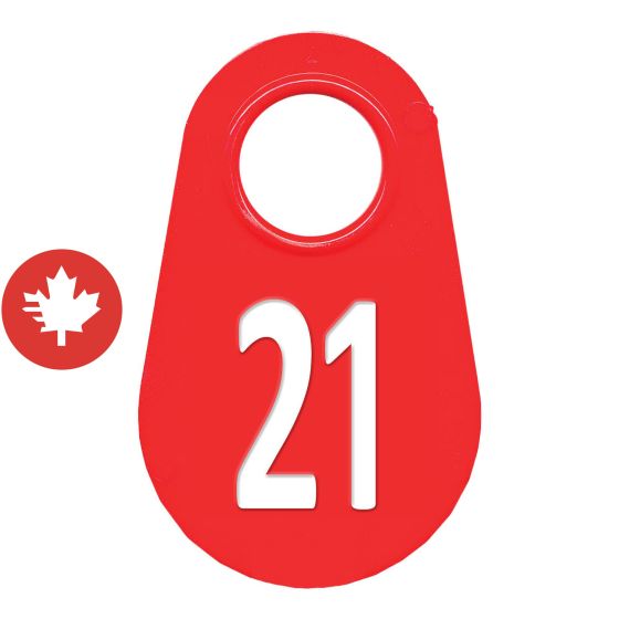 Neck tag #21