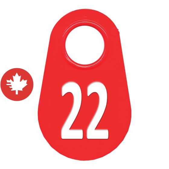 Neck tag #22