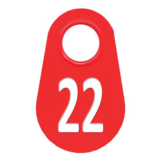 Neck tag #22