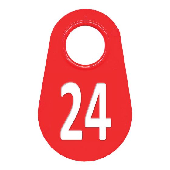 Neck tag #24