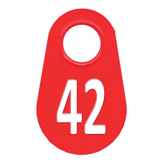 Neck tag #42