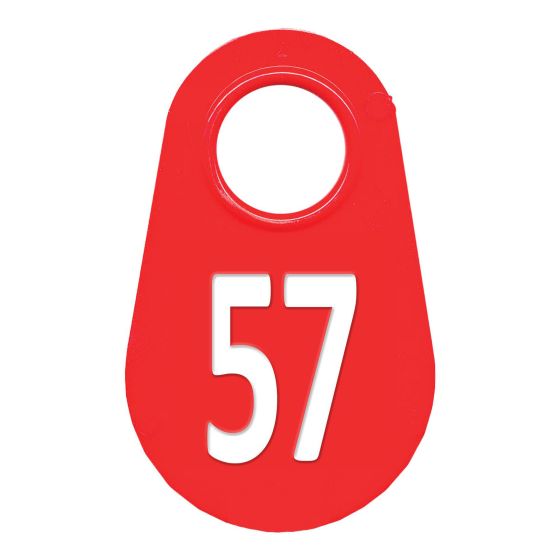 Neck tag #57