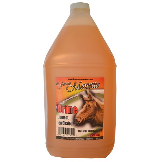Urine de jument en chaleur