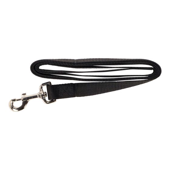 Laisse simple, noir, 1" x 72"
