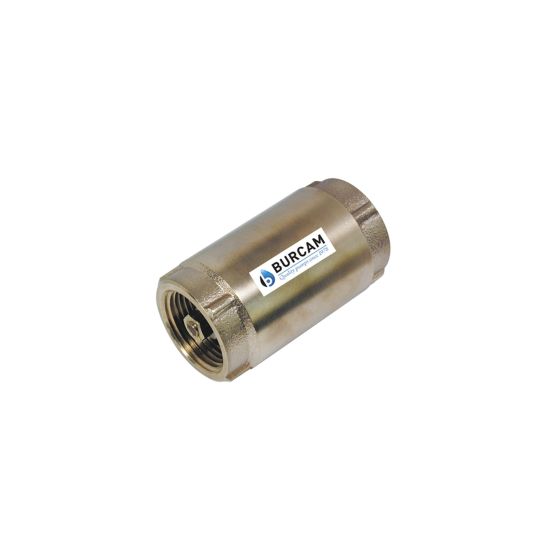Check Valve - Deluxe - 1" FNTP - Brass
