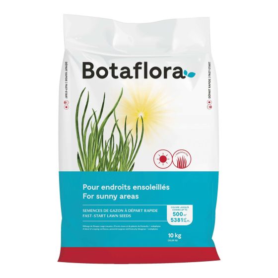 Semences de gazon à départ rapide, 10 kg