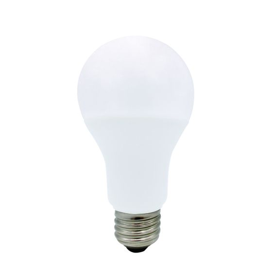 Ampoule DEL, A19, lumière du jour, 17 W, 6/pqt