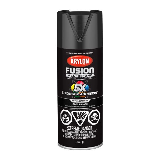 Fusion Spray Paint And Primer All-In-One - 340 g - Black - Glossy