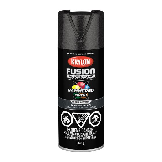 Fusion Spray Paint And Primer All-In-One - 340 g - Black - Hammered