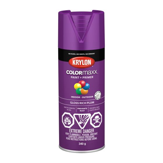 Colormaxx Paint And Primer - 340 g - Rich Plum - Glossy