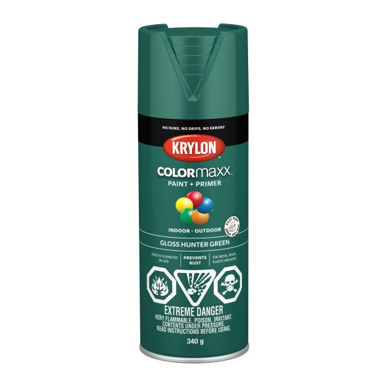 Colormaxx Paint And Primer - 340 g - Hunter Green - Glossy