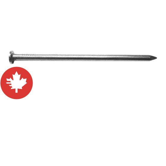 Clous communs brillants, 3 1/2", 50 lb