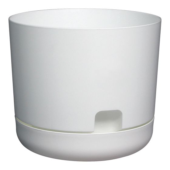 Self-Watering Oasis Planter - White - 6"