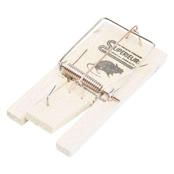 Baitless mouse trap