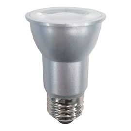 Ampoule DEL PAR16, intensit&eacute; variable, 6 W, lumi&egrave;re du jour, 2/pqt