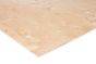 CSP Select Spruce Plywood - 3/8" x 4' x 8'