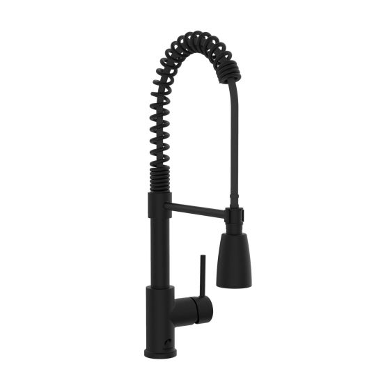 Robinet pour évier de cuisine avec bec amovible pivotant Professio, noir mat
