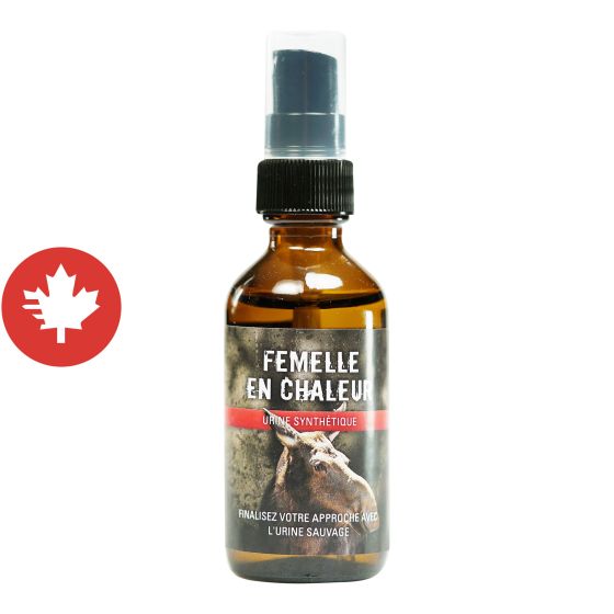 Urine synthétique d'orignal, femelle en chaleur, 60 ml
