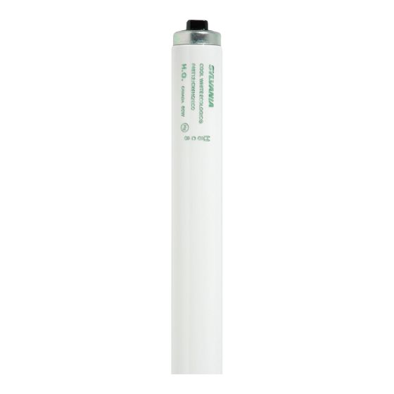 Fluorescent Tube - Daylight - 48" - T12 - 60 W