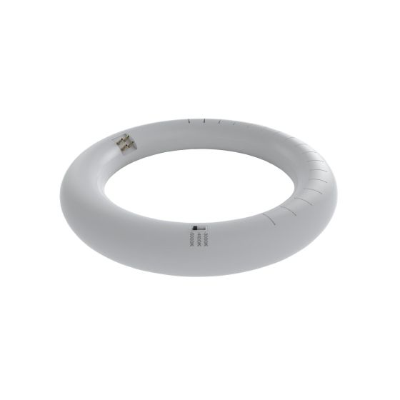 Tube fluorescent, T9 circulaire, lumière du jour, 16 W, 8"