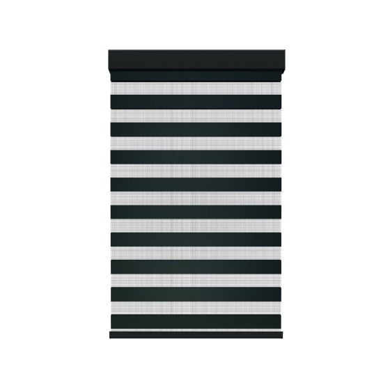 Cordless Zebra Roller Shade - Black - 48" x 72"