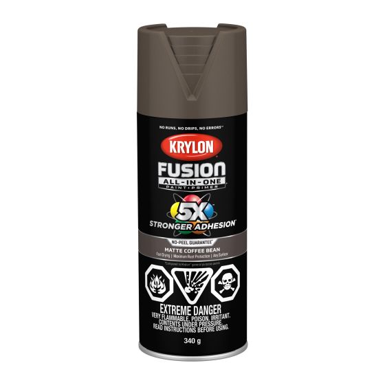 Peinture protectrice tout-en-un, Fusion, café mat, 340 G