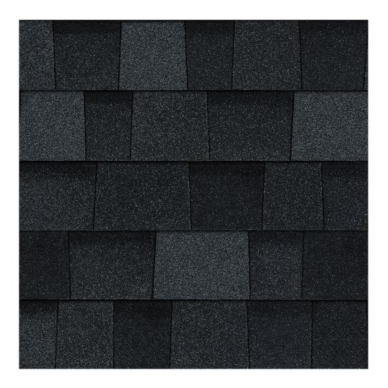 Bardeaux TruDefinitionᴹᴰ Durationᴹᴰ, noir onyx