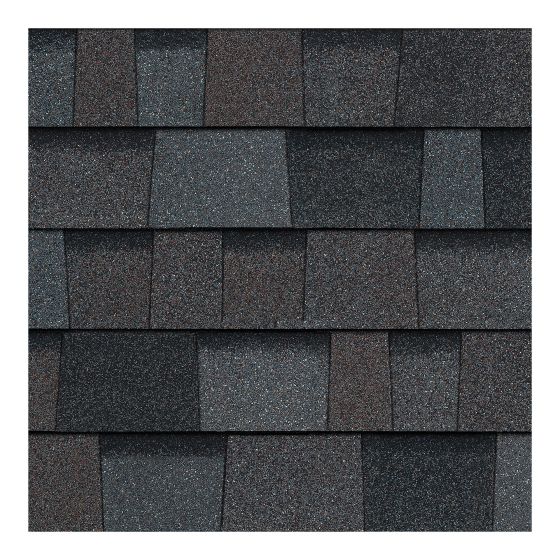 Bardeaux TruDefinitionᴹᴰ Durationᴹᴰ, gris Williamsburg