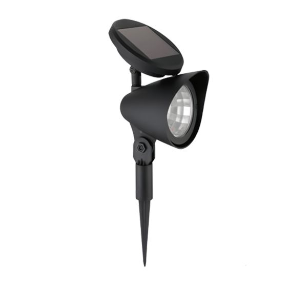Piquet projecteur solaire DEL, 12,6", noir