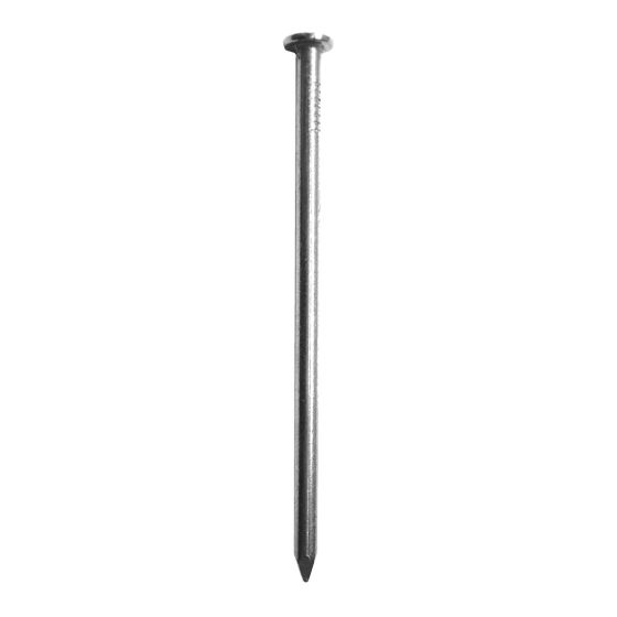 Clous communs brillants, 6", 40/pqt