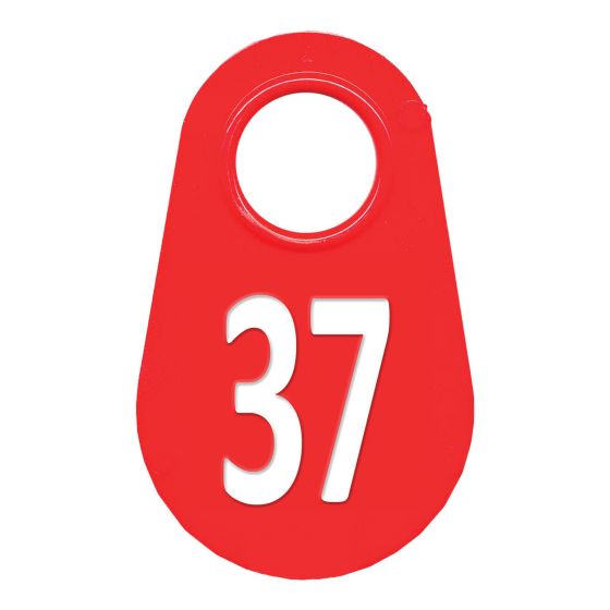 Neck tag #37