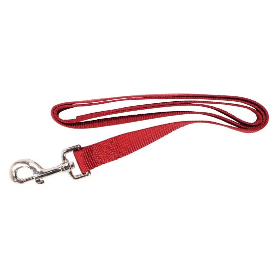Laisse simple, rouge, 1" x 48"