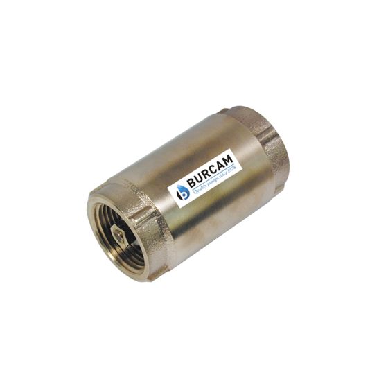 Check Valve - Deluxe - 1 1/4" FNTP - Brass