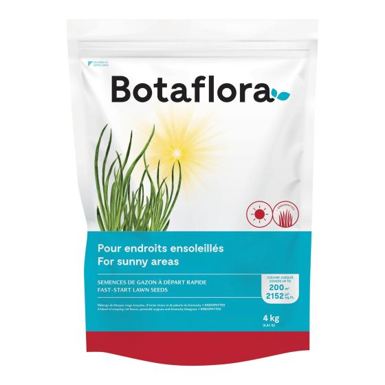 Semences de gazon à départ rapide, 4 kg