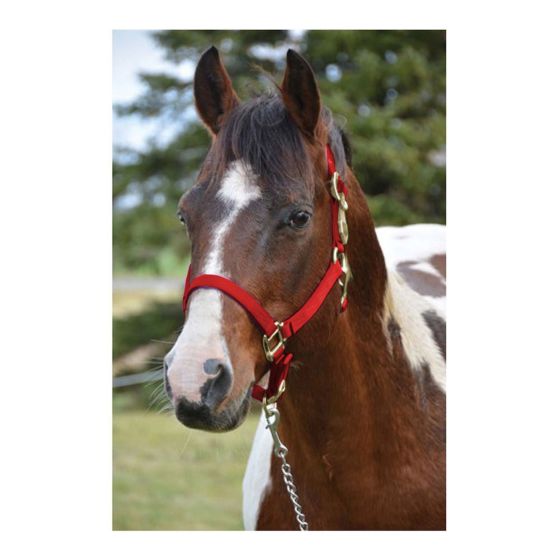 Classic western raw leather halter with carabiner hook