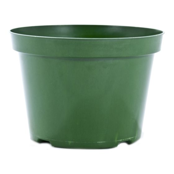 Plastic Production Pot for Seedling - Green - 8"