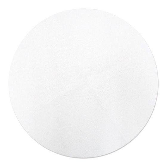 Vacuum Filter Press Polyester Filter - 1/Pkg - 9"