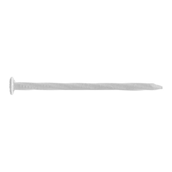 Clous vrillés pour revêtement CanExel, blanc, 2"