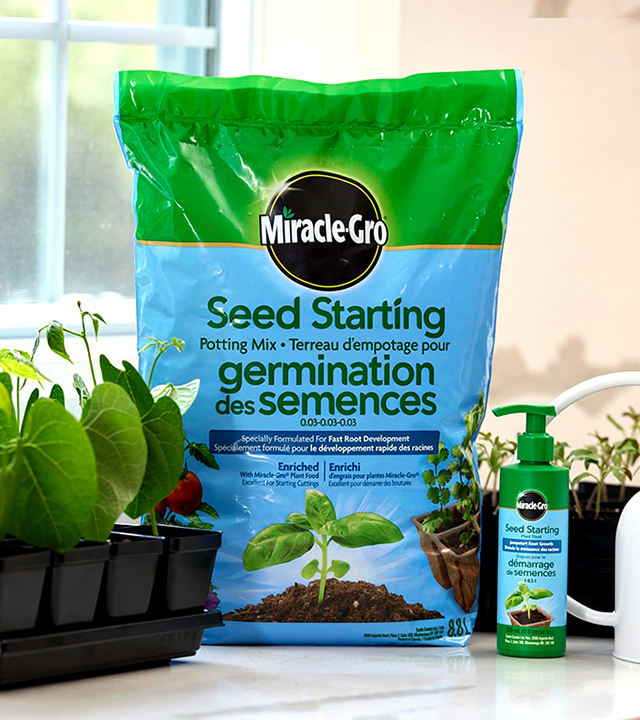 A bag of Miracle-Gro seed-starting potting mix on a table beside seedlings and a bottle of seed-starting solution.