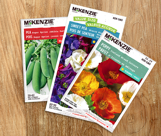 Three McKenzie seed packets displayed on a wooden surface, showing peas, sweet peas, and brightly colored poppy flowers.