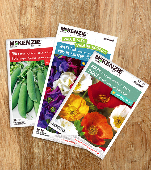 Three McKenzie seed packets displayed on a wooden surface, showing peas, sweet peas, and brightly colored poppy flowers.